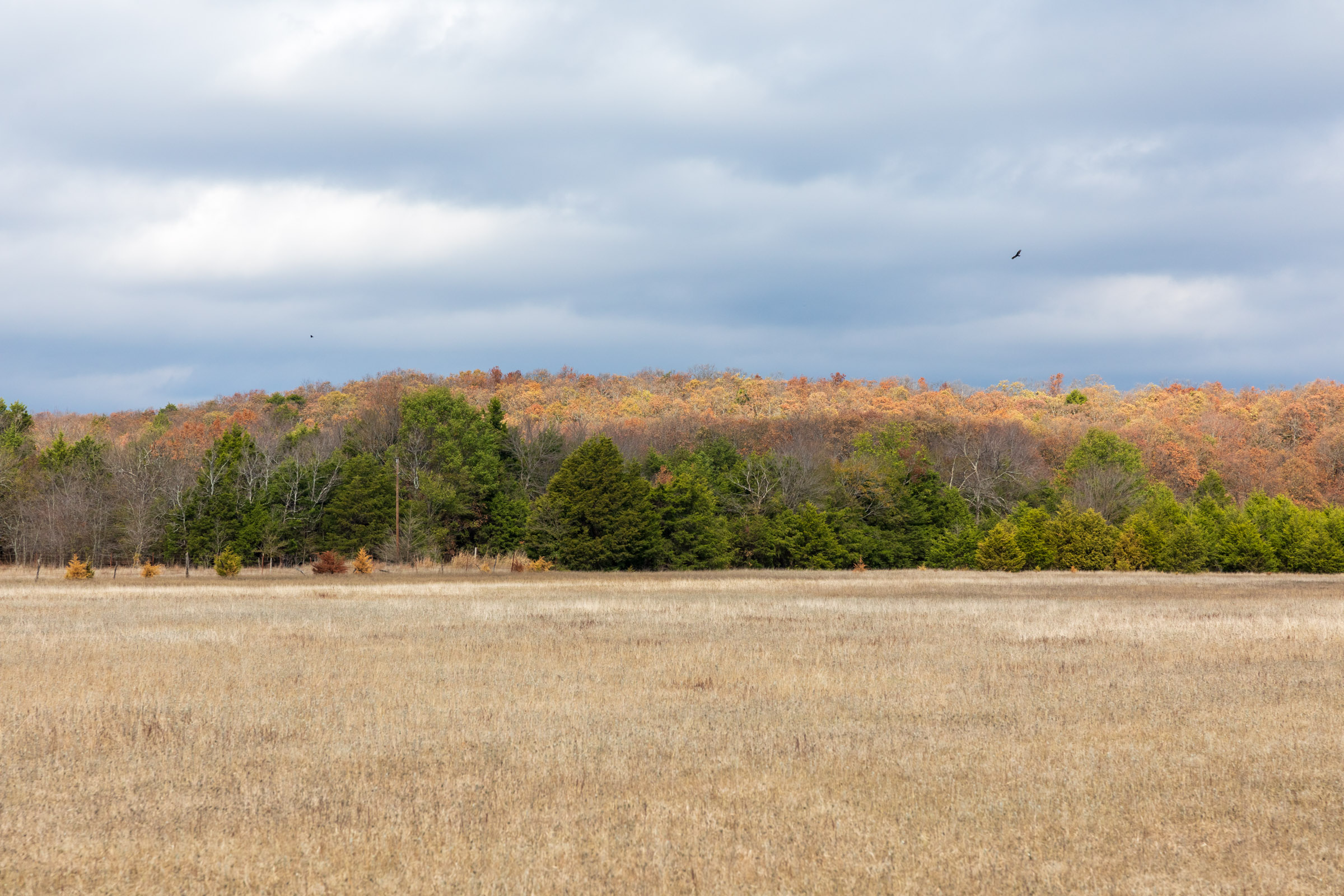 Tract 5 at Crystal Springs in McIntosh County, Oklahoma