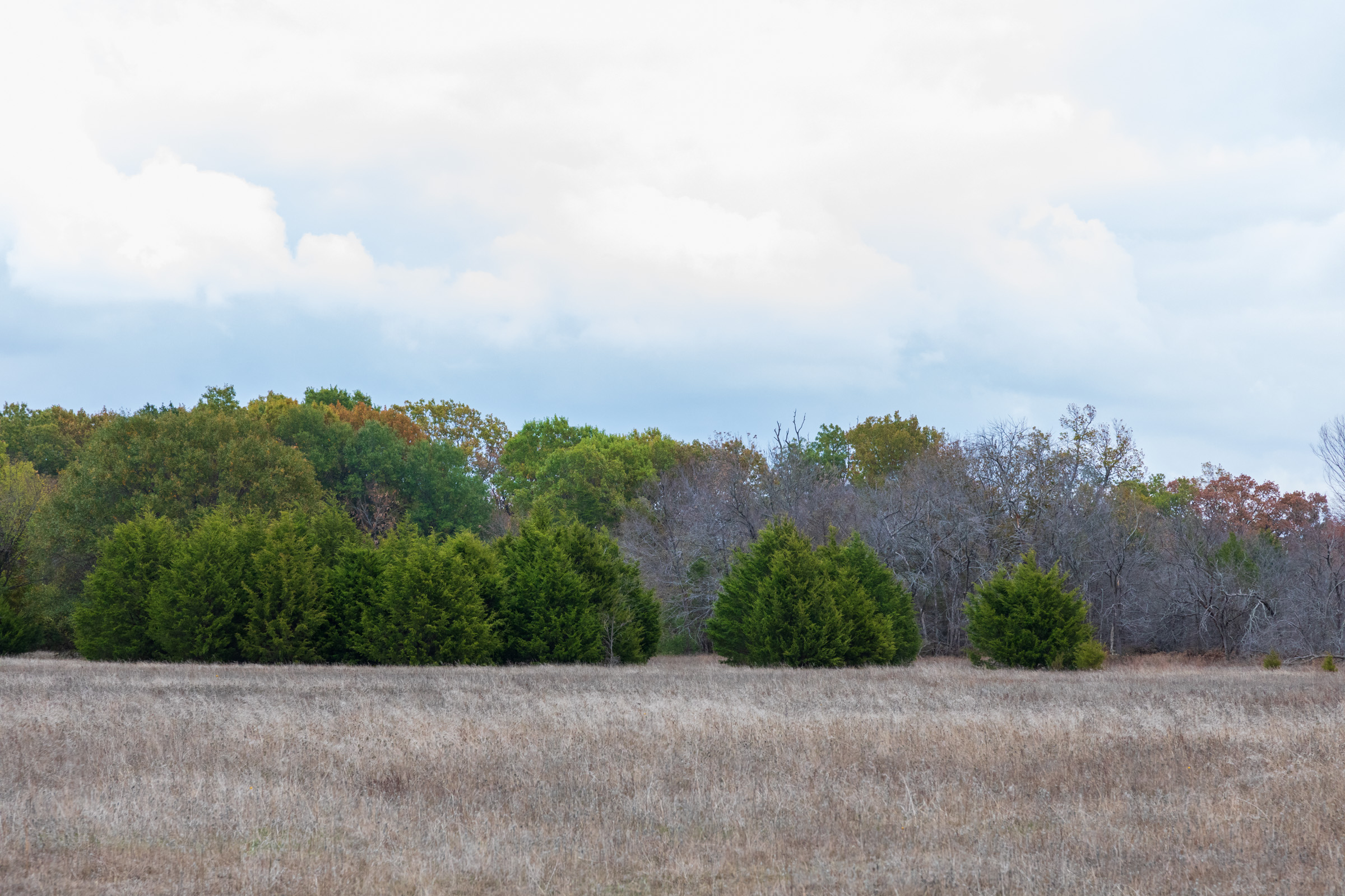 Tract 8 at Crystal Springs in McIntosh County, Oklahoma