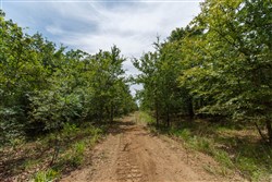 property photo for Timber Ridge Tract 1, 2.57 acres for sale in McIntosh County, Oklahoma