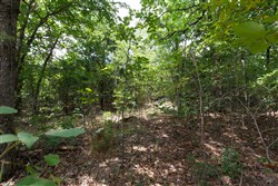 property photo for Timber Ridge Tract 1, 2.57 acres for sale in McIntosh County, Oklahoma