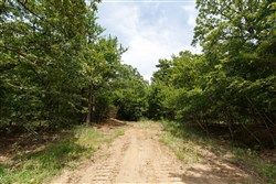 property photo for Timber Ridge Tract 1, 2.57 acres for sale in McIntosh County, Oklahoma