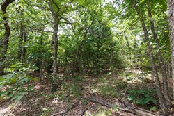 property photo for Timber Ridge Tract 1, 2.57 acres for sale in McIntosh County, Oklahoma