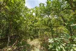 property photo for Timber Ridge Tract 10, 2.57 acres for sale in McIntosh County, Oklahoma
