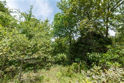 property photo for Timber Ridge Tract 10, 2.57 acres for sale in McIntosh County, Oklahoma