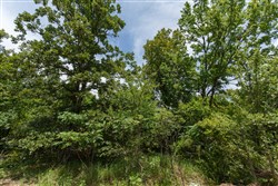 property photo for Timber Ridge Tract 11, 2.57 acres for sale in McIntosh County, Oklahoma