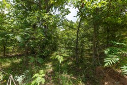property photo for Timber Ridge Tract 11, 2.57 acres for sale in McIntosh County, Oklahoma