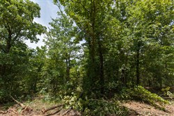 property photo for Timber Ridge Tract 11, 2.57 acres for sale in McIntosh County, Oklahoma