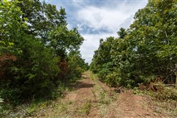 property photo for Timber Ridge Tract 12, 2.57 acres for sale in McIntosh County, Oklahoma