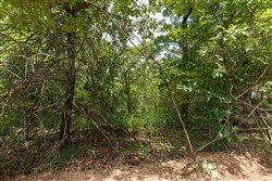 property photo for Timber Ridge Tract 12, 2.57 acres for sale in McIntosh County, Oklahoma