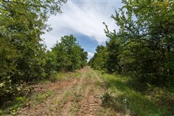 property photo for Timber Ridge Tract 12, 2.57 acres for sale in McIntosh County, Oklahoma