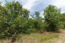 property photo for Timber Ridge Tract 12, 2.57 acres for sale in McIntosh County, Oklahoma