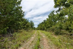 Timber Ridge Tract 13