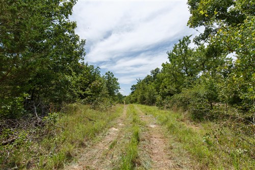 Timber Ridge Tract 13