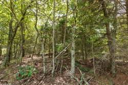 Timber Ridge Tract 13