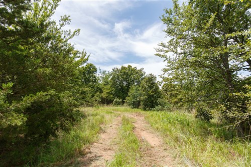 Timber Ridge Tract 13
