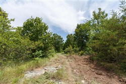 Timber Ridge Tract 13