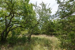 Timber Ridge Tract 13