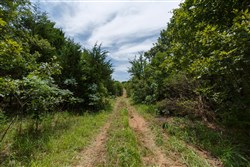Timber Ridge Tract 14