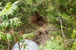 Timber Ridge Tract 14