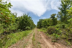 property photo for Timber Ridge Tract 15, 2.66 acres for sale in McIntosh County, Oklahoma