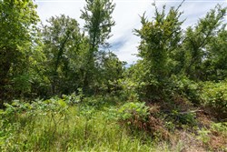 property photo for Timber Ridge Tract 15, 2.66 acres for sale in McIntosh County, Oklahoma