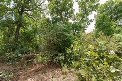 property photo for Timber Ridge Tract 15, 2.66 acres for sale in McIntosh County, Oklahoma