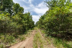 property photo for Timber Ridge Tract 15, 2.66 acres for sale in McIntosh County, Oklahoma