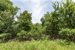 property photo for Timber Ridge Tract 15, 2.66 acres for sale in McIntosh County, Oklahoma