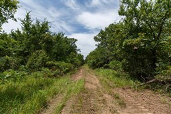 property photo for Timber Ridge Tract 16, 2.58 acres for sale in McIntosh County, Oklahoma