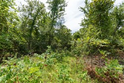 property photo for Timber Ridge Tract 16, 2.58 acres for sale in McIntosh County, Oklahoma