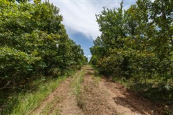 property photo for Timber Ridge Tract 16, 2.58 acres for sale in McIntosh County, Oklahoma