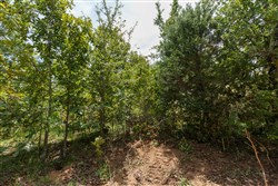 property photo for Timber Ridge Tract 16, 2.58 acres for sale in McIntosh County, Oklahoma