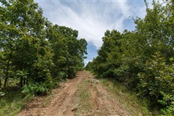 property photo for Timber Ridge Tract 17, 2.58 acres for sale in McIntosh County, Oklahoma