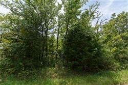 property photo for Timber Ridge Tract 17, 2.58 acres for sale in McIntosh County, Oklahoma