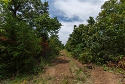 property photo for Timber Ridge Tract 17, 2.58 acres for sale in McIntosh County, Oklahoma