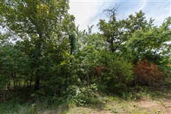property photo for Timber Ridge Tract 17, 2.58 acres for sale in McIntosh County, Oklahoma