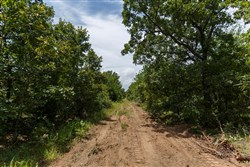 property photo for Timber Ridge Tract 18, 2.58 acres for sale in McIntosh County, Oklahoma
