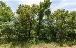 property photo for Timber Ridge Tract 18, 2.58 acres for sale in McIntosh County, Oklahoma