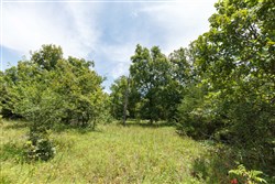 property photo for Timber Ridge Tract 18, 2.58 acres for sale in McIntosh County, Oklahoma