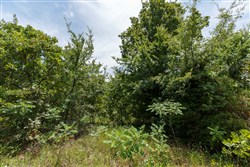 property photo for Timber Ridge Tract 18, 2.58 acres for sale in McIntosh County, Oklahoma