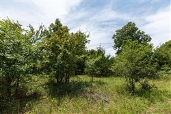 property photo for Timber Ridge Tract 18, 2.58 acres for sale in McIntosh County, Oklahoma