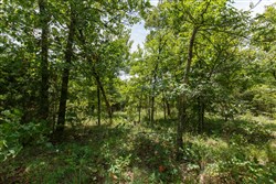 property photo for Timber Ridge Tract 19, 2.58 acres for sale in McIntosh County, Oklahoma