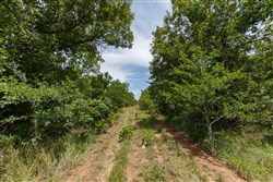 property photo for Timber Ridge Tract 19, 2.58 acres for sale in McIntosh County, Oklahoma