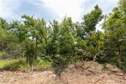 property photo for Timber Ridge Tract 19, 2.58 acres for sale in McIntosh County, Oklahoma