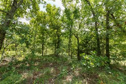 property photo for Timber Ridge Tract 19, 2.58 acres for sale in McIntosh County, Oklahoma