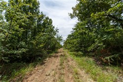 property photo for Timber Ridge Tract 2, 2.57 acres for sale in McIntosh County, Oklahoma