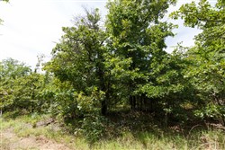 property photo for Timber Ridge Tract 2, 2.57 acres for sale in McIntosh County, Oklahoma