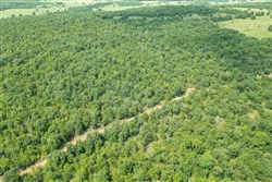 property photo for Timber Ridge Tract 2, 2.57 acres for sale in McIntosh County, Oklahoma