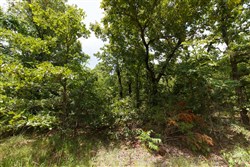 property photo for Timber Ridge Tract 2, 2.57 acres for sale in McIntosh County, Oklahoma