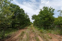 property photo for Timber Ridge Tract 20, 2.58 acres for sale in McIntosh County, Oklahoma